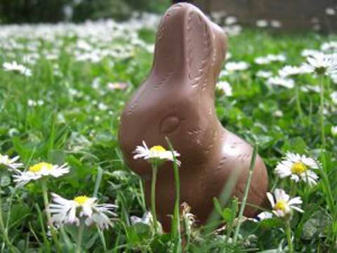 Lapin en chocolat