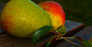 Poires fondues au chocolat